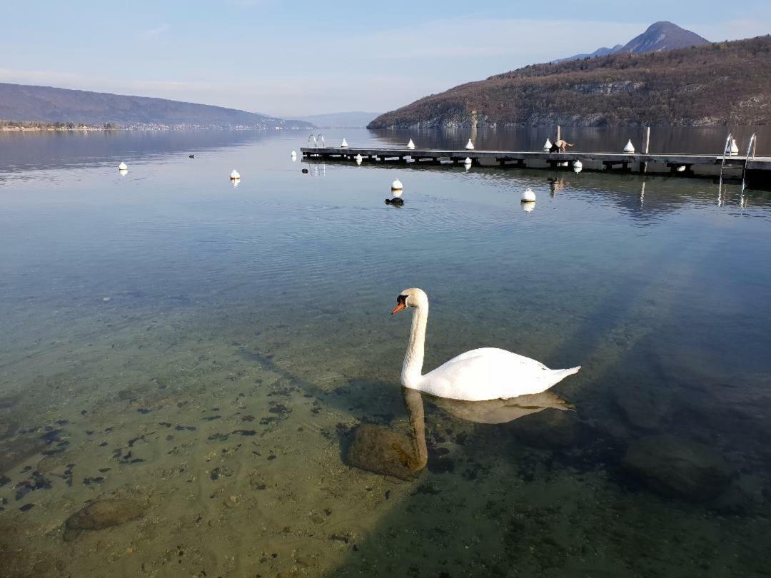 La Baie Des Voiles 3 Chambres 4 A 6 Personnes Au Bord Du Lac Plage Privee Дюeн Екстериор снимка